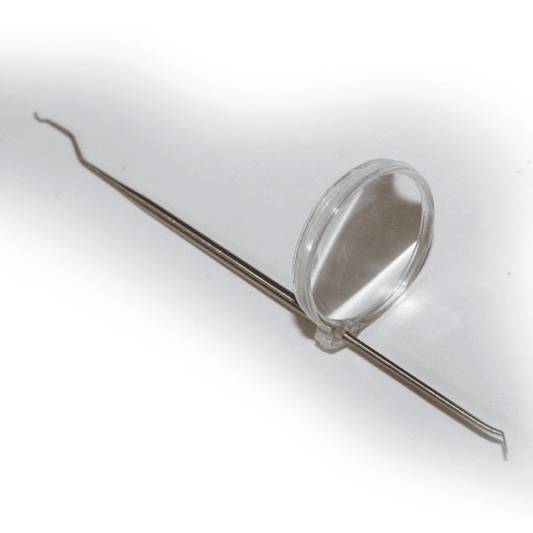 Umlarvnadel zweiseitig mit abnehmbarer Lupe Edelstahl Bienen Königin Umlarvwerkzeug Umlarvlöffel