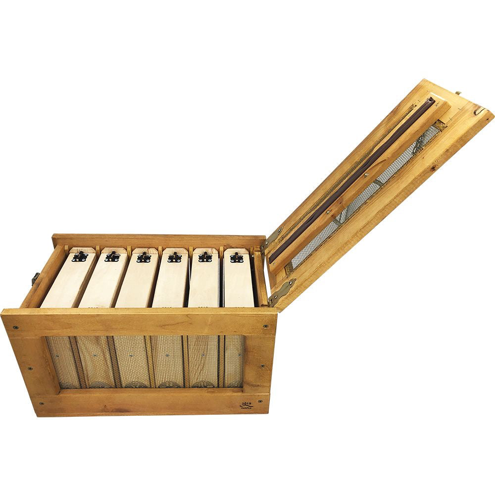 Transportbox für 6 EWK - Einwabenkästen Sicherer und effizienter Transport für die Königinnenzucht