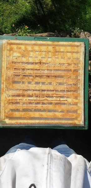 Propolisgewebe Zuschnitt Flexibel Reißfest Lebensmittelecht zu Propolis sammeln