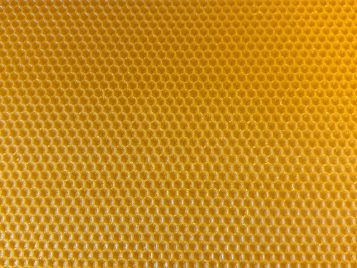 Mittelwände gegossen aus Analysiertem reinem Bienenwachs Seuchenfrei Pestizidfrei