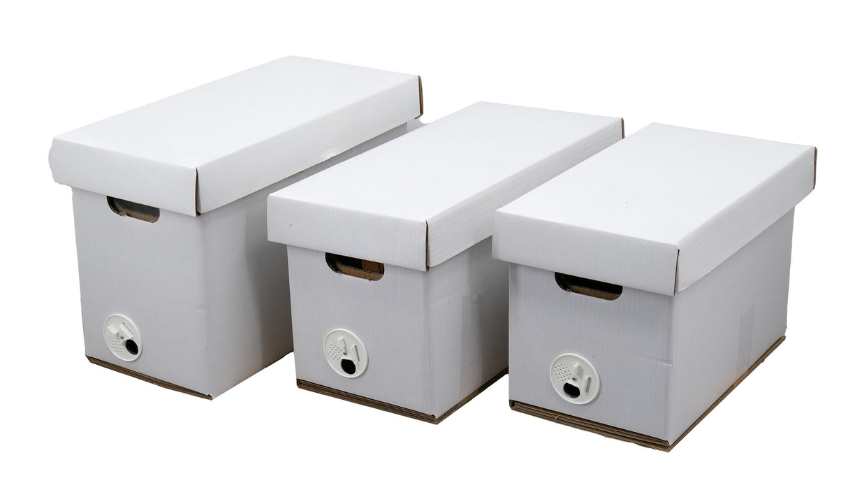 Ableger- und Transport-Box 5 Rähmchen Deutsch Normal Zander Dadant aus bewachstem Wellpappkarton.