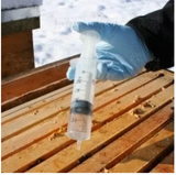 Serumwerk OXALSÄURE BERNBURG 40 mg/ml – zuverlässige Varroa-Behandlung für Sommer und Winter