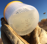 Befallskontrolle Varroa Check Varroa Test MIlbenbefall Puderzucker