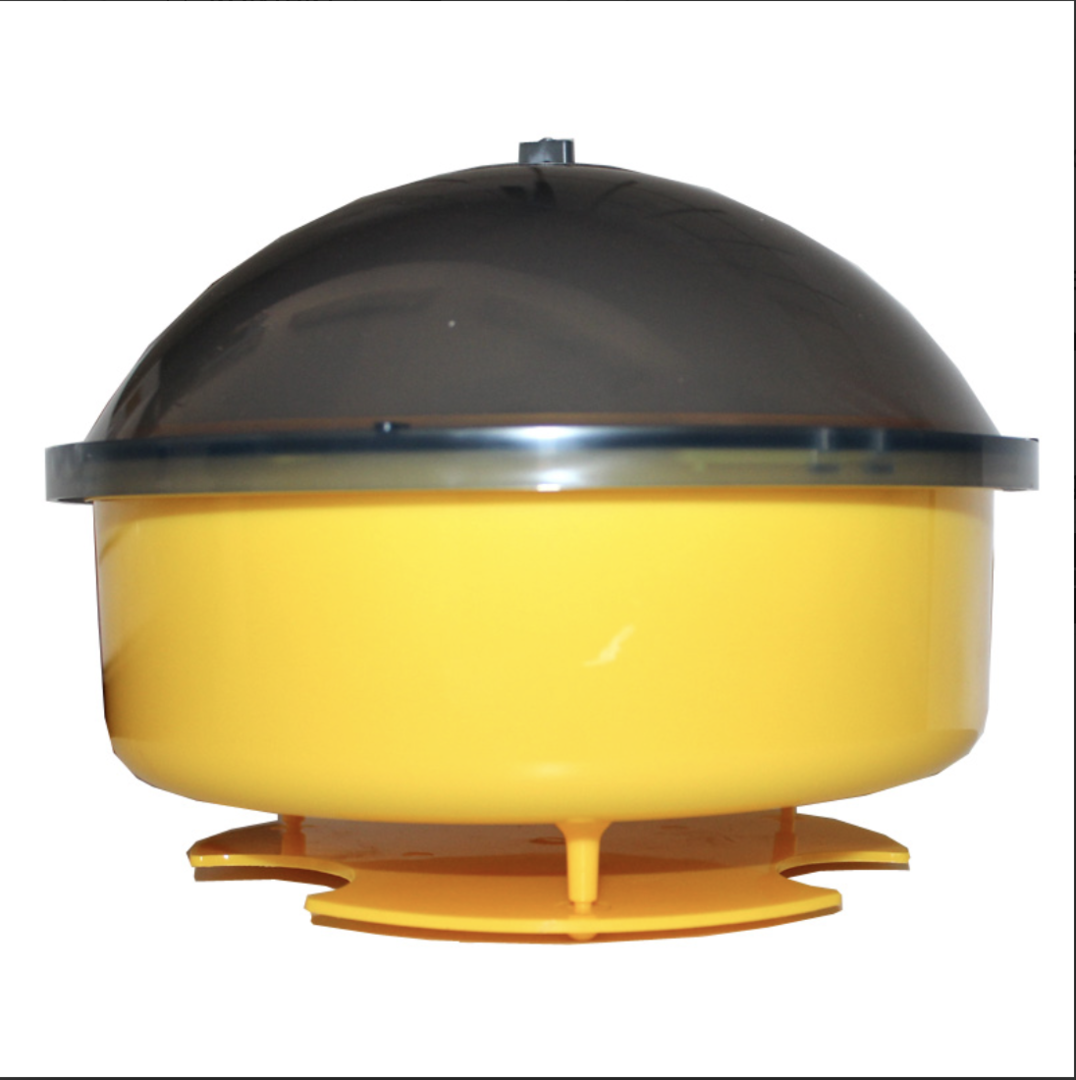 Wespenfangglas Wespenfalle groß Insektenfalle