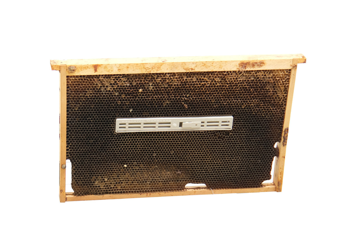 Königin Isolationskammer Brutstopp Milenin Isolation Königinkäfig Isolator