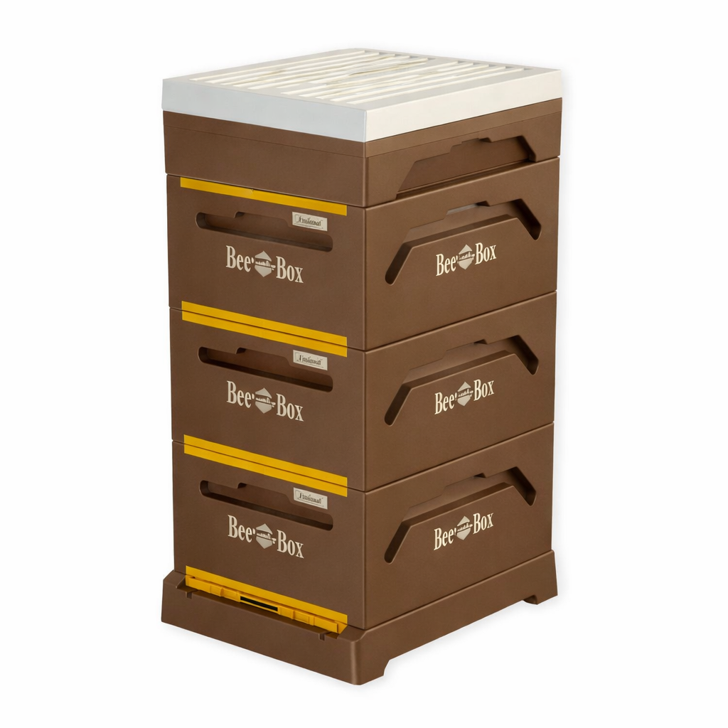 Paradise Honey BeeBox Komplett-Set Zander