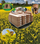 Bienenwagner Rolled Foundation Sheets 1kg Wax German Standard DNM Zander Dadant Mini Plus Certified